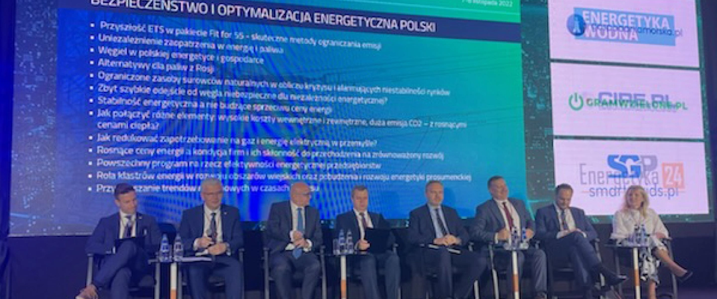 Bezpieczenstwo i optymalizacja energetyczna Polski