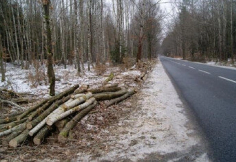 inwestycja