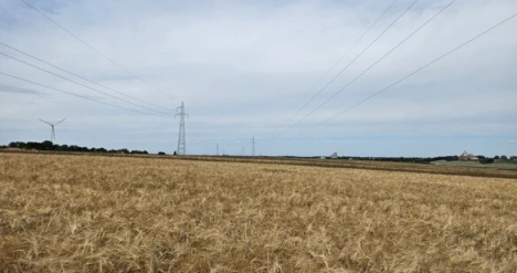 inwestycja
