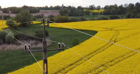 Linia wysokiego napięcia pole